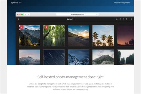 TOP 10 Self Hosted Photo Galleries .